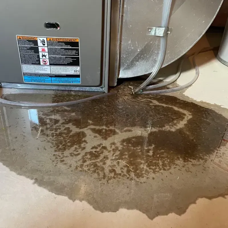 Appliance Leak Cleanup in Evergreen Park, IL